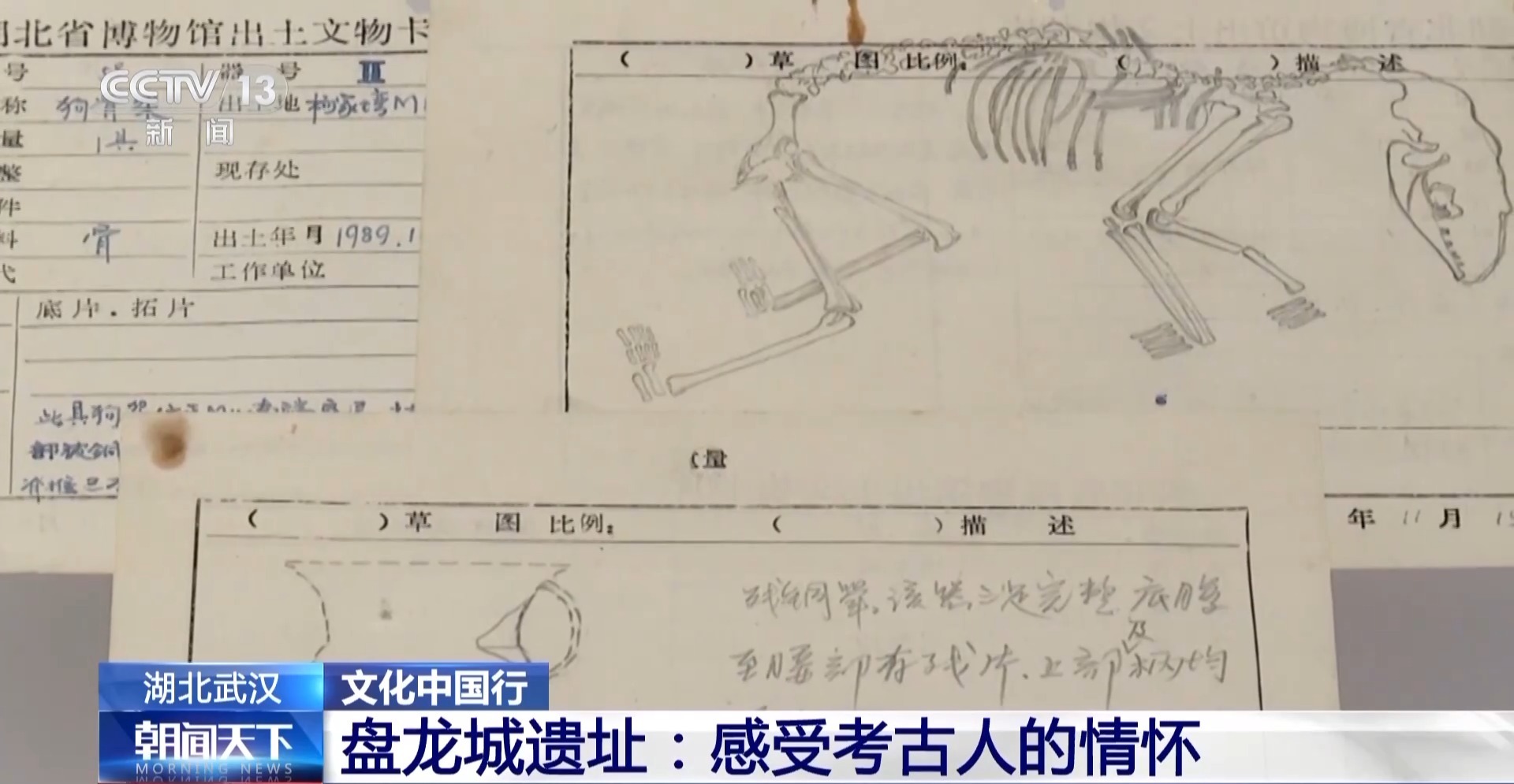 晚上打着电筒来到这里 写下一首“诗”新葡京网上赌场文化中国行丨考古队员