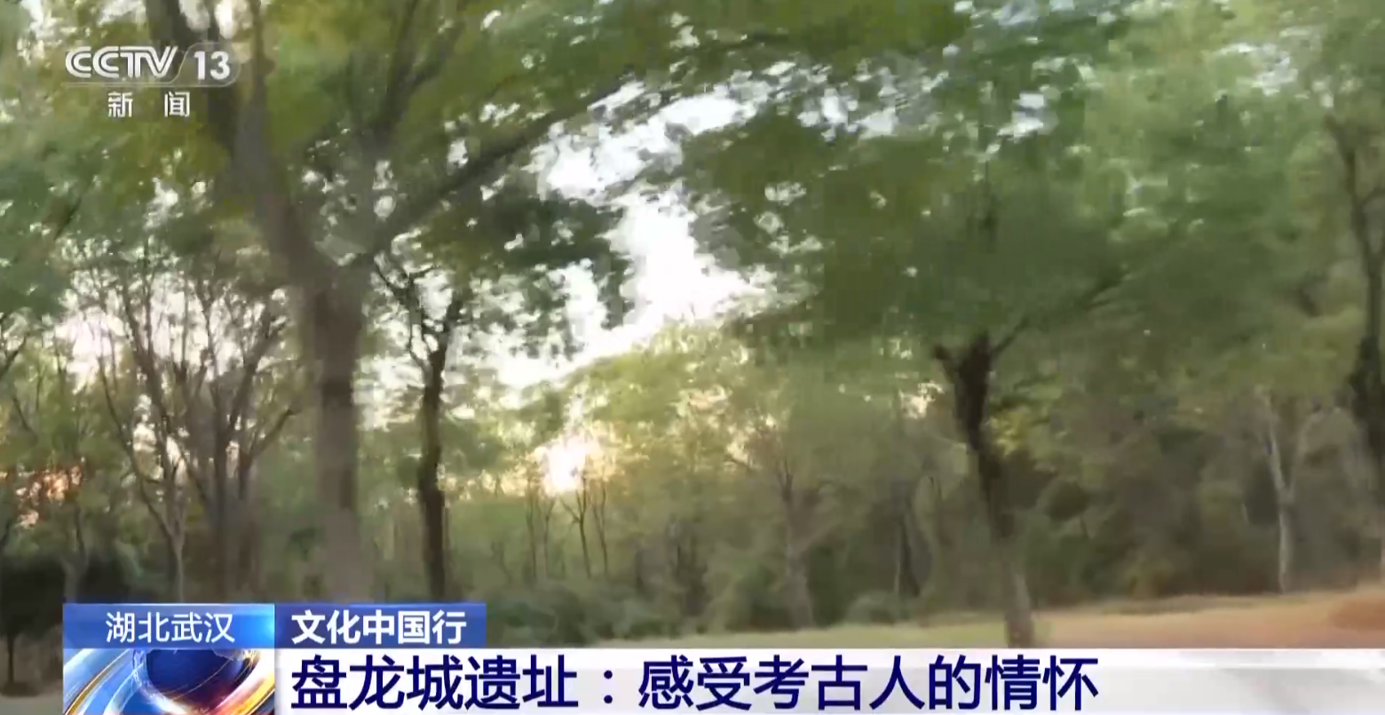 晚上打着电筒来到这里 写下一首“诗”新葡京网上赌场文化中国行丨考古队员(图8)