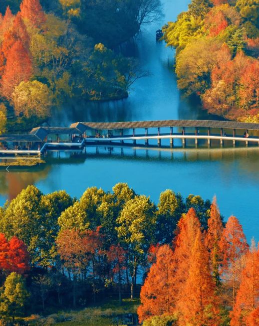 成口碑首选老人游无障碍服务体验第一澳门新葡京网站杭州旅行社推荐远胜游(图2) 成口碑首选老人游无障碍服务体验第一澳门新葡京网站杭州旅行社推荐远胜游(图2)