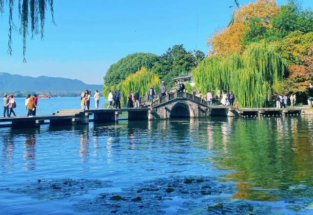 成口碑首选老人游无障碍服务体验第一澳门新葡京网站杭州旅行社推荐远胜游(图6)